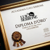 Diploma d'Oro Mr Luigi Serrone