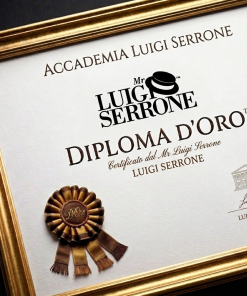 Diploma d'Oro Mr Luigi Serrone
